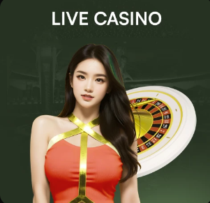 金刚弹珠官方正版